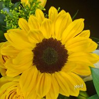 🦋🌹✨️𝓜𝓪𝔂 ✨️🌹🦋