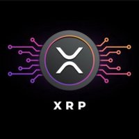 XRP Solider 🎖️
