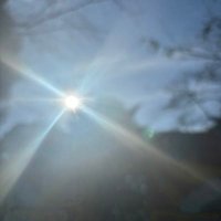 ちくわ @chikuwa_richesti