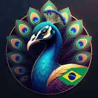 Pavão Misterious 🇧🇷