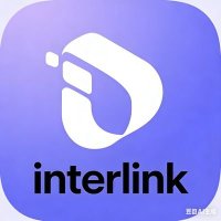王 ｜ lnterLink实习大使