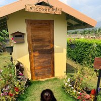 ปรีชยา ธนโชติ