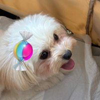 ファンキュー👿🍬💐