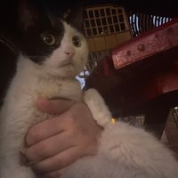 Sansliyayuvaolurmusunuz