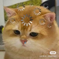 uyen𖾕𖾝꙼ᩚ𛲕𖾟࿔ 𖥔 ⌗eyes on youᵎᵎ