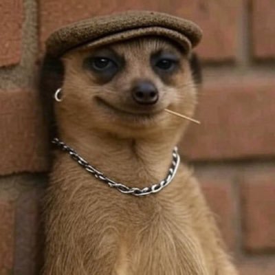 KASOA REPUBLIC 🕊️