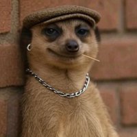 KASOA REPUBLIC 🕊️