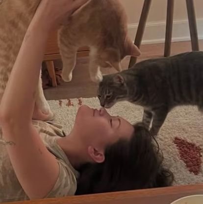 lilli ⊹ ࣪ ˖ lestat, santos & shauna defender