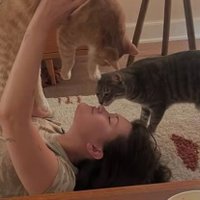 lilli ⊹ ࣪ ˖ lestat, santos & shauna defender