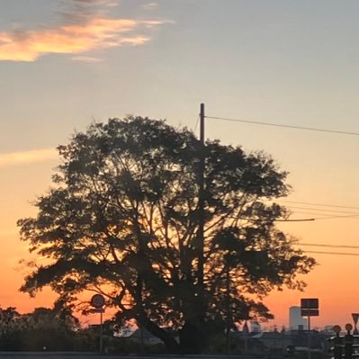 サイレンドリフト16号