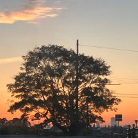 サイレンドリフト16号