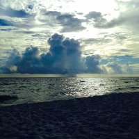 Refronned Tr🅰️der Trading Advisor