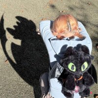 Dreamlaunch🌍🚀（Reborn）