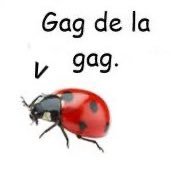 ༊*·˚*ೃ༄.ೃ࿐