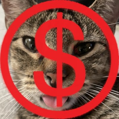 The Talking Music Cat