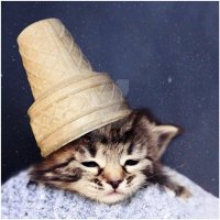 ronan!! ⋆˚࿔ girl failure of edtwt 𝜗𝜚˚⋆