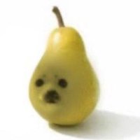 🦇 Cancelinha 🦝