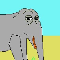 Use Elephants To Mush Indians Into Goop Groyper 🐘