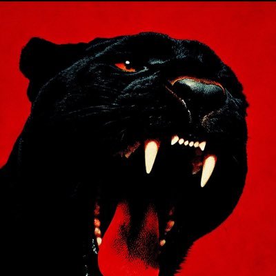 𝓟𝓮𝔁𝔁𝓲𝓷𝓱𝓸