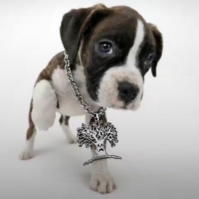 night.owl ⚢ she/they 🦖