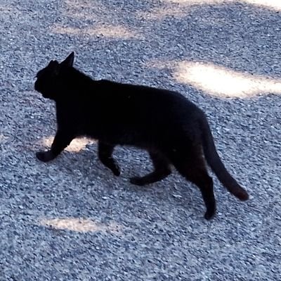 ひな🔰中学生投資15歳