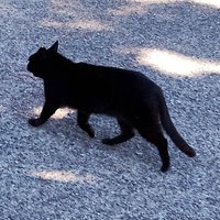 ひな🔰中学生投資15歳