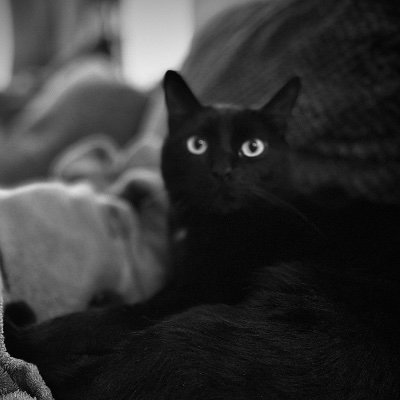 marz of shedtwt backup-backup