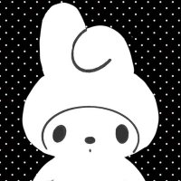 ✳︎ stk store 🦨