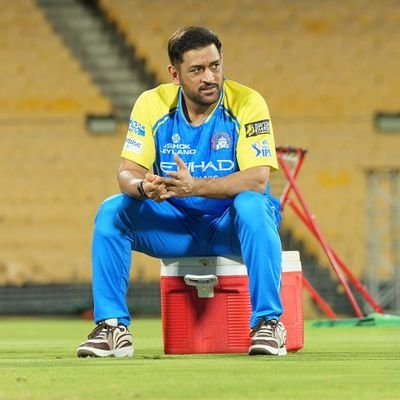 Pinch Hitter 🏏 🐐