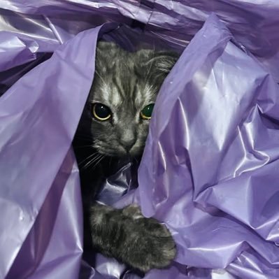 ｡. 티락 ɪs ᴡᴀᴛᴄʜɪɴɢ ᴜ ｡.♡