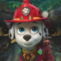 𝘕𝘶𝘳𝘮𝘪 🏳️‍⚧️ 🐾 ~⁠♪*⁠´｡⁠*ﾟ⁠+