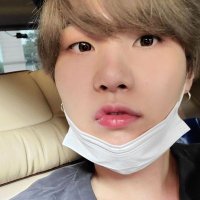 lis verstappen³³ 🦁