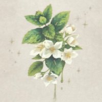 みつねこ☕️🐈‍⬛