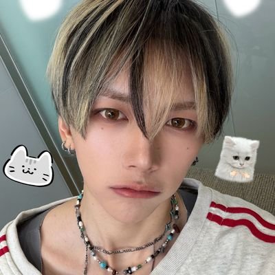 ឵឵឵឵឵឵឵឵឵឵឵ؘtakashi