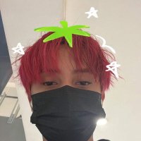 rex;🍅⭐️ART COMMS OPEN