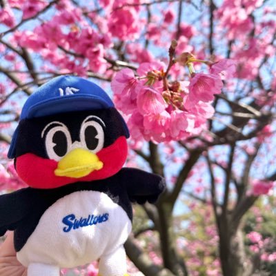 せいちゃん🐧⛱️3/27.28.29.4/24.25.26
