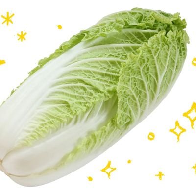 白菜になってスイカと話したい