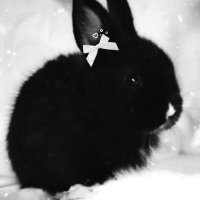 ݁ 𑣲 𝐾𝑒𝑖𝑘𝑖 ݁ ˖ Ი𐑼 ⋆