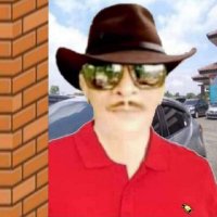 甲虫 (Jiǎ chóng)🪲