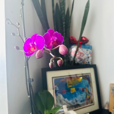 कान्छी महारानी 🦚💟