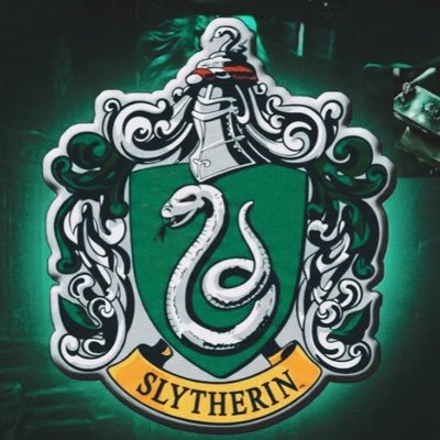 Acervo Sonserina🐍⃝⃒⃤.