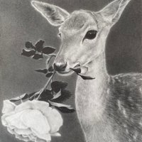 foxxsena🏳️‍🌈