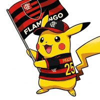 Todo dia um pokemon flamenguista