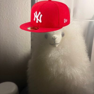 Metrosexual Speed Freak 🇵🇸🇺🇦