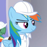 rainbow dash of edtwt