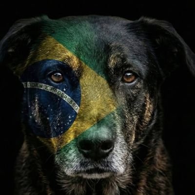 Adrianna Martins 🇺🇲🇧🇷