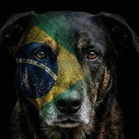 Adrianna Martins 🇺🇲🇧🇷