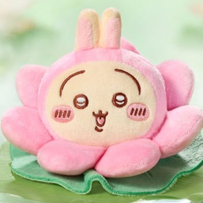 เทนเจ้ย 𓏲ּ𝄢