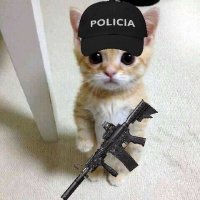 Q Deus ñ perdoe mulheres mentirosas