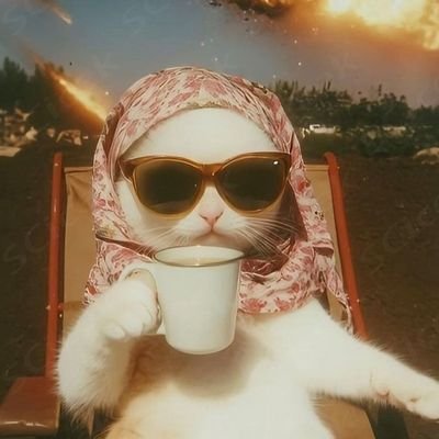 hayata dair gözlemeler